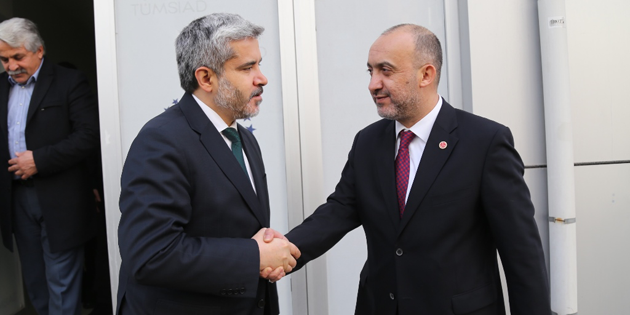Yeşil bir kampüs için en önemli gereklilik toprak