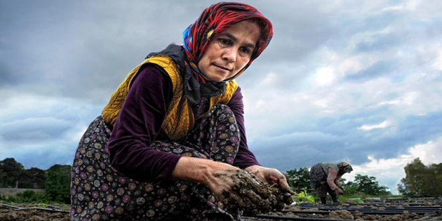 Tarımda 75 kadın girişimciye uygulamalı girişimcilik eğitimi