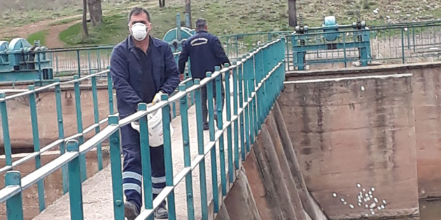 Haşere ile mücadele aralıksız sürüyor