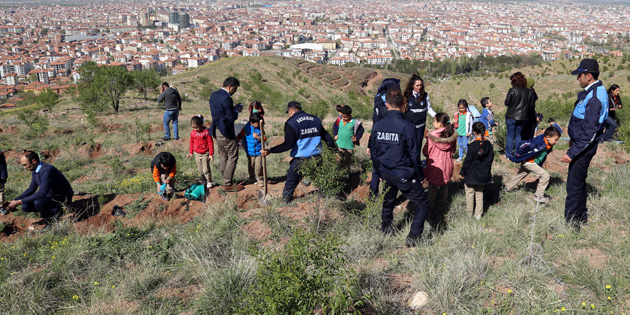 Öğrenciler zabıtalar eşliğinde fidan dikti