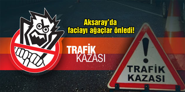 Faciayı ağaçlar önledi!