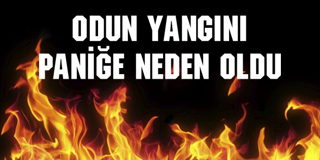 Odun yangını paniğe neden oldu