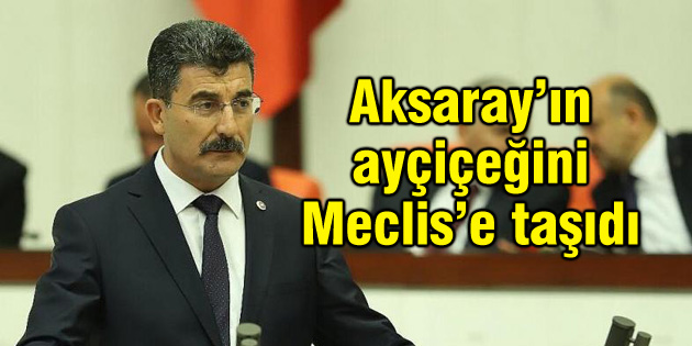 Erel’den Meclis’e ayçiçeği ile ilgili önerge