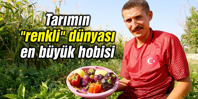 Tarımın “renkli” dünyası en büyük hobisi