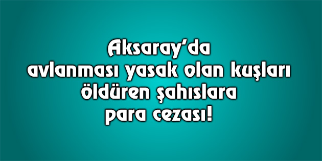 Aksaray’da avcılara 20 bin lira para cezası kesildi