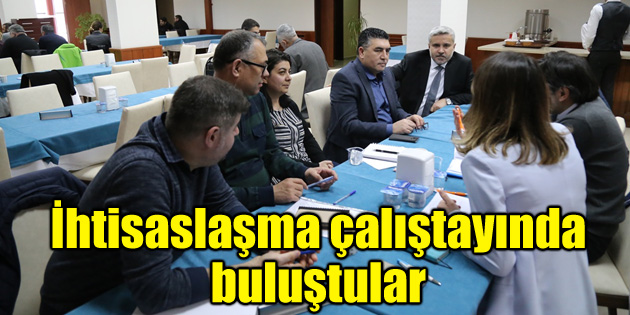 Akademisyenler ihtisaslaşma çalıştayında buluştu