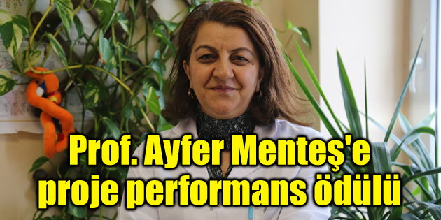 Prof. Ayfer Menteş’e proje performans ödülü