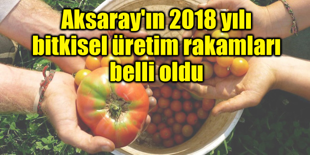 Aksaray’ın 2018 yılı bitkisel üretim rakamları belli oldu