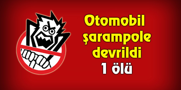 Otomobil şarampole devrildi: 1 ölü