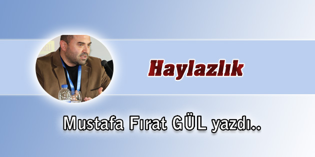 Haylazlık