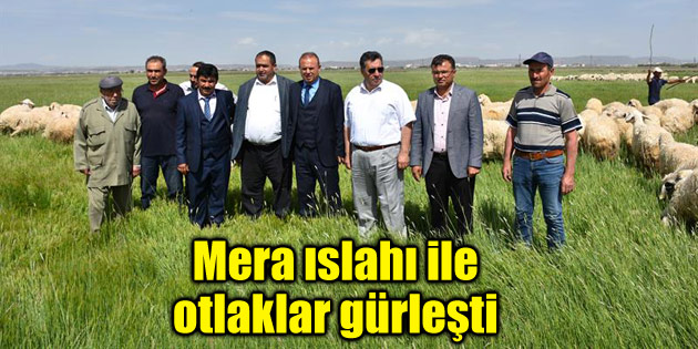 Mera ıslahı ile otlaklar gürleşti