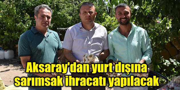 Aksaray’dan yurt dışına sarımsak ihracatı yapılacak
