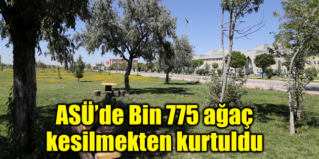 EBYS ile üç yılda bin 775 ağaç kesilmekten kurtuldu