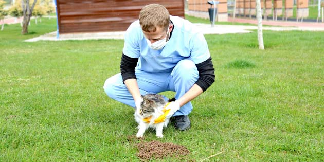 Sokak hayvanları için doğaya yem ve mama bırakıldı