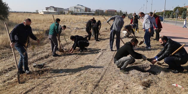 Aksaray Üniversitesi kampüsüne 500 fidan dikildi