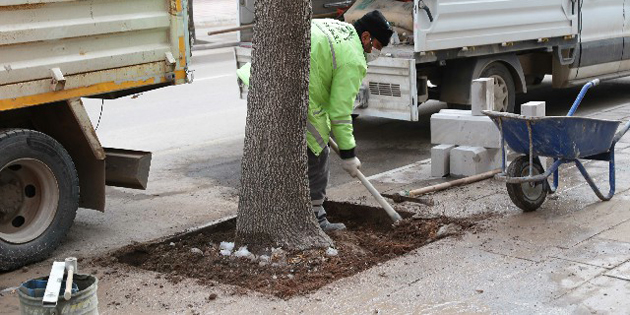 Yeşil alanların bakımı kış aylarında da devam ediyor