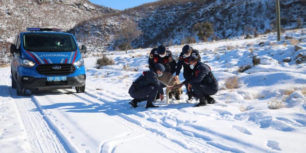 Aksaray’da Jandarma ekipleri doğaya yem bıraktı