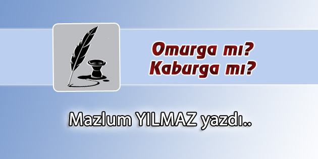 Omurga mı? Kaburga mı?