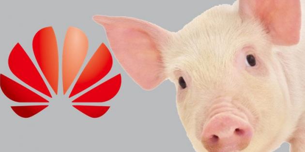 Huawei, Domuz Çiftlikleri ve Madenler İçin Çalışmaya Başladı
