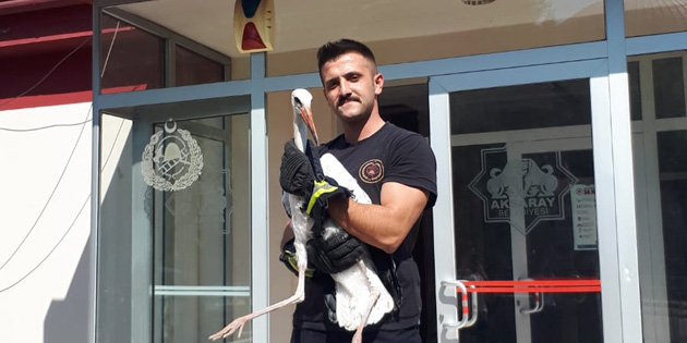 Yavru leyleğin imdadına itfaiye ekipleri yetişti
