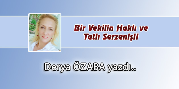 Bir Vekilin Haklı ve Tatlı Serzenişi!