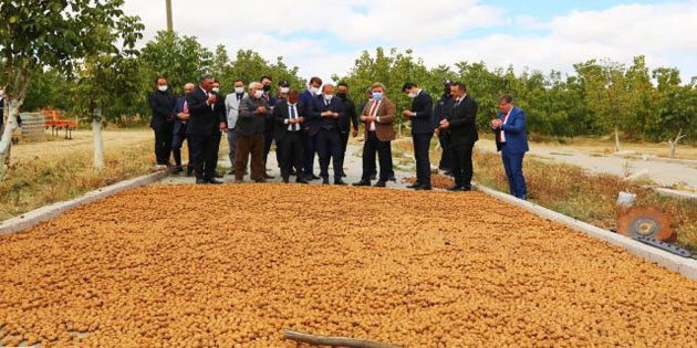 Cevizin ana vatanı Ağaçören’de festival düzenleniyor