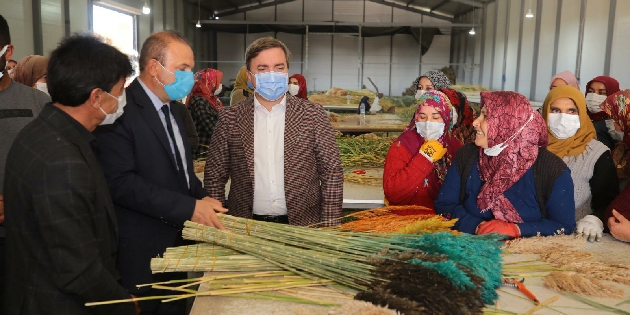 Yabani bitki, kamış ve dikenler geçim kaynakları oldu