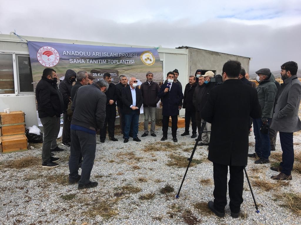 Kırşehir’de “Anadolu Arı Islahı Projesi” tanıtım toplantısı yapıldı