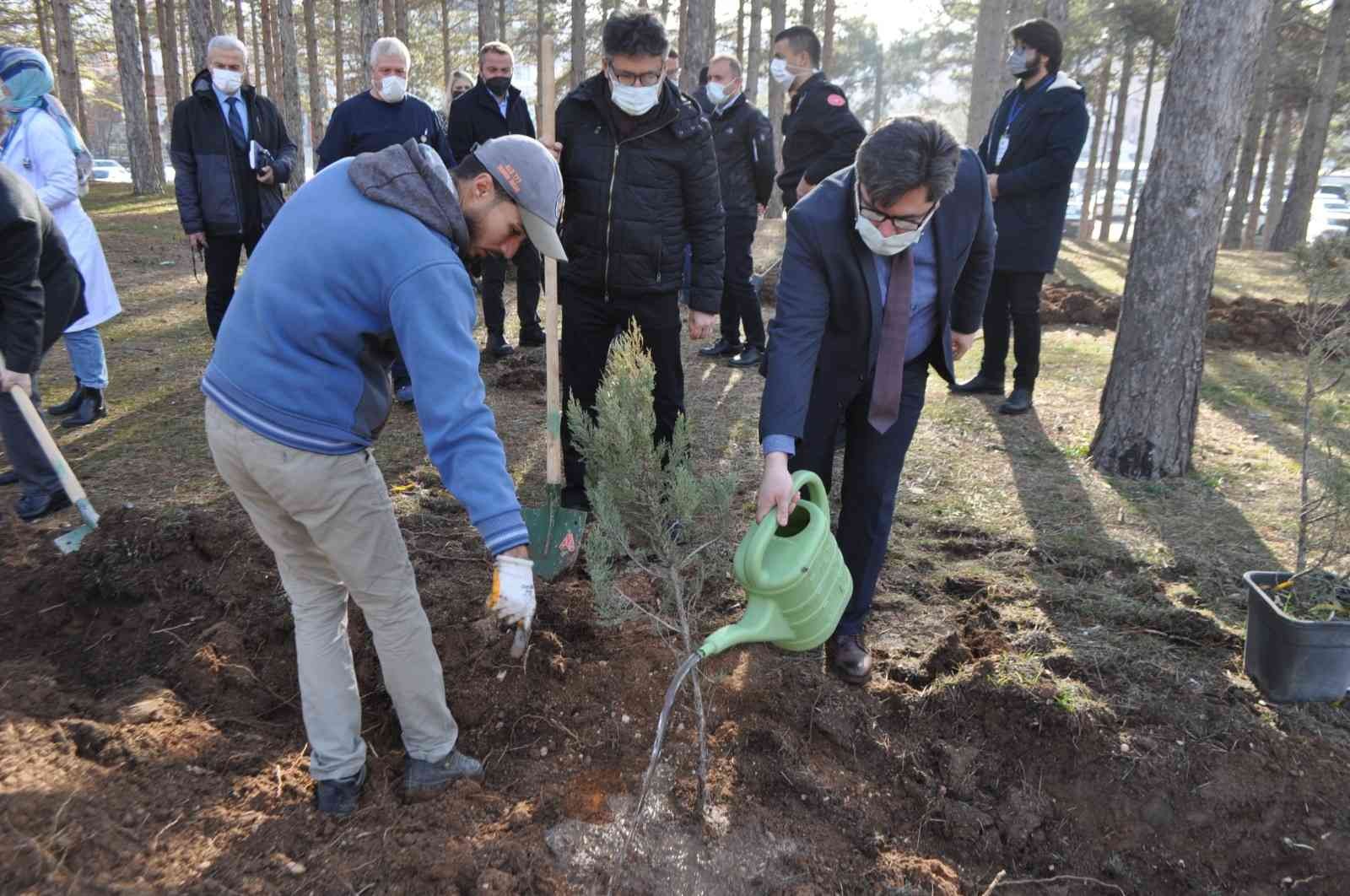 Ömrünü dolduran ağaçların yerine yenileri dikildi