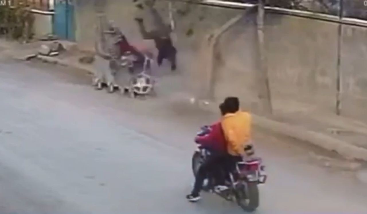 Çöp konteynerine çarpıp takla attı, çöpteki kedi fırladı