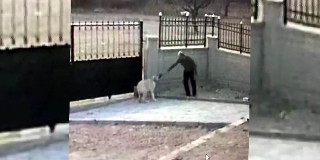 Aksaray Malaklısı hırsızların hedefi oldu