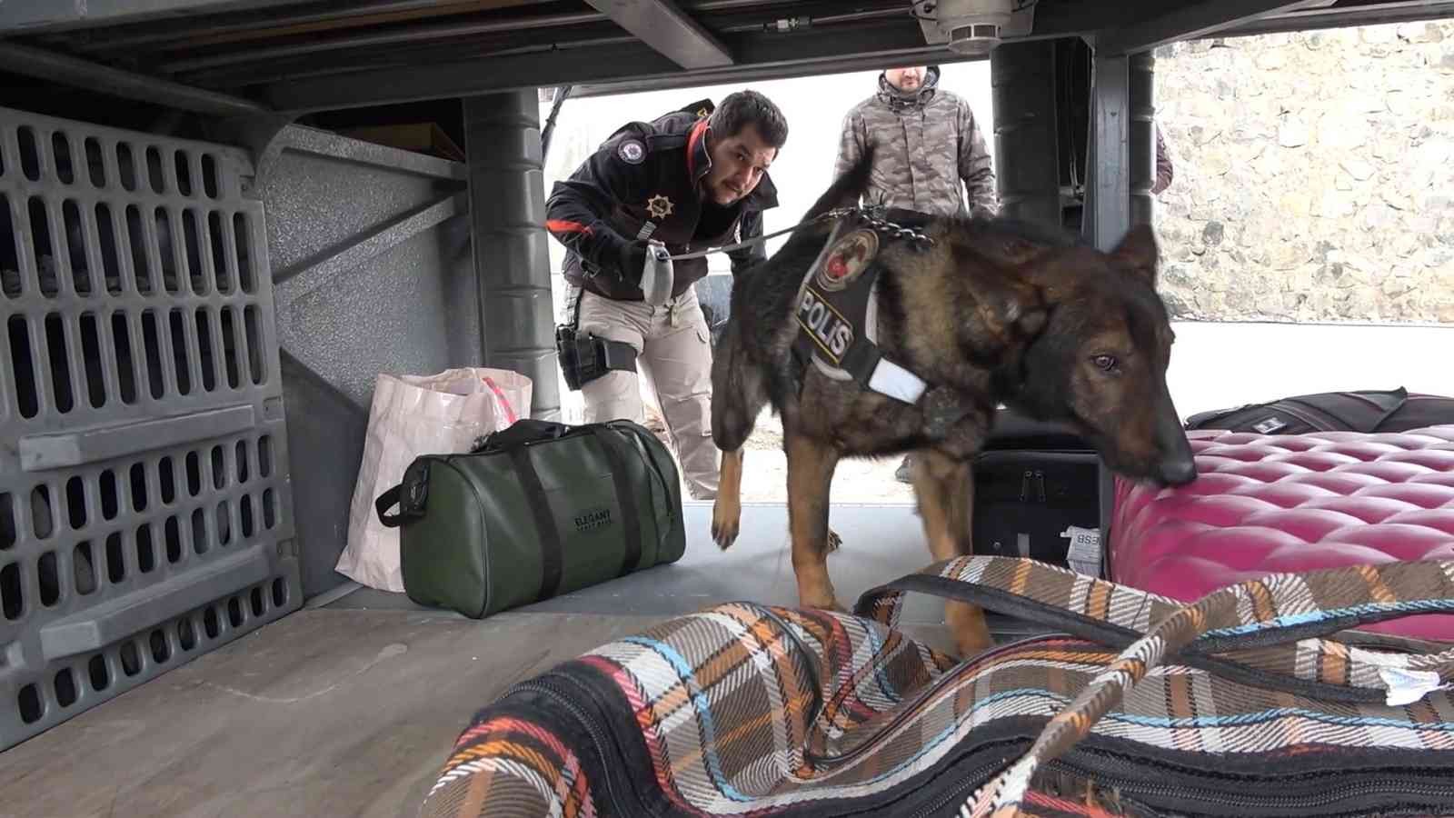 43 ilin geçiş güzergahında sıkı denetim: Narkotik köpeği ’Adam’ didik didik arıyor