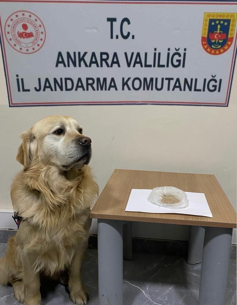 Başkent’teki uyuşturucu operasyonlarında 9 gözaltı