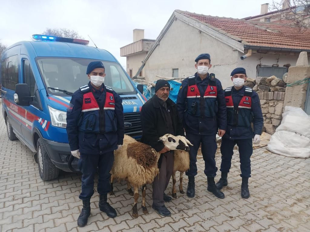 Çalınan koyunlarını bulan jandarmaya teşekkür edip dualarla uğurladı