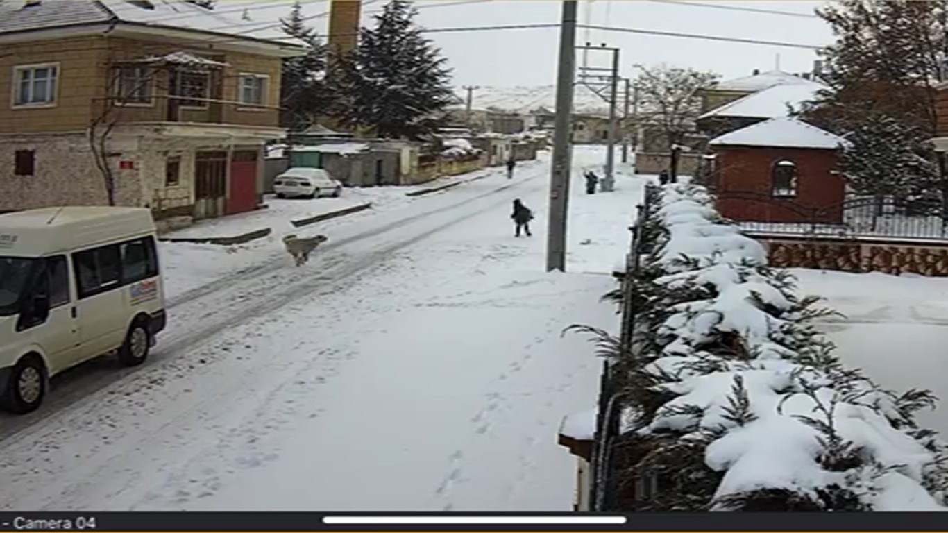 Köpek saldırısından kurtulan Yusuf o anları anlattı