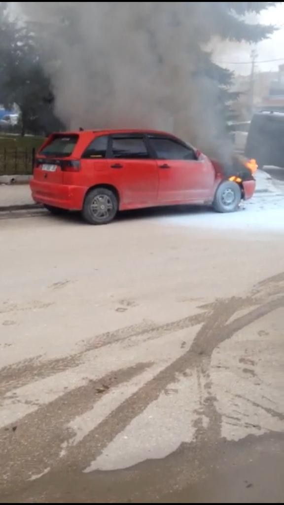 Park halindeki otomobil alevlere teslim oldu