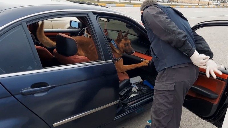 Gizlenen uyuşturucu narkotik köpeğinden kaçmadı!