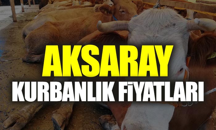 Aksaray’da kurbanlık fiyatları 2022!