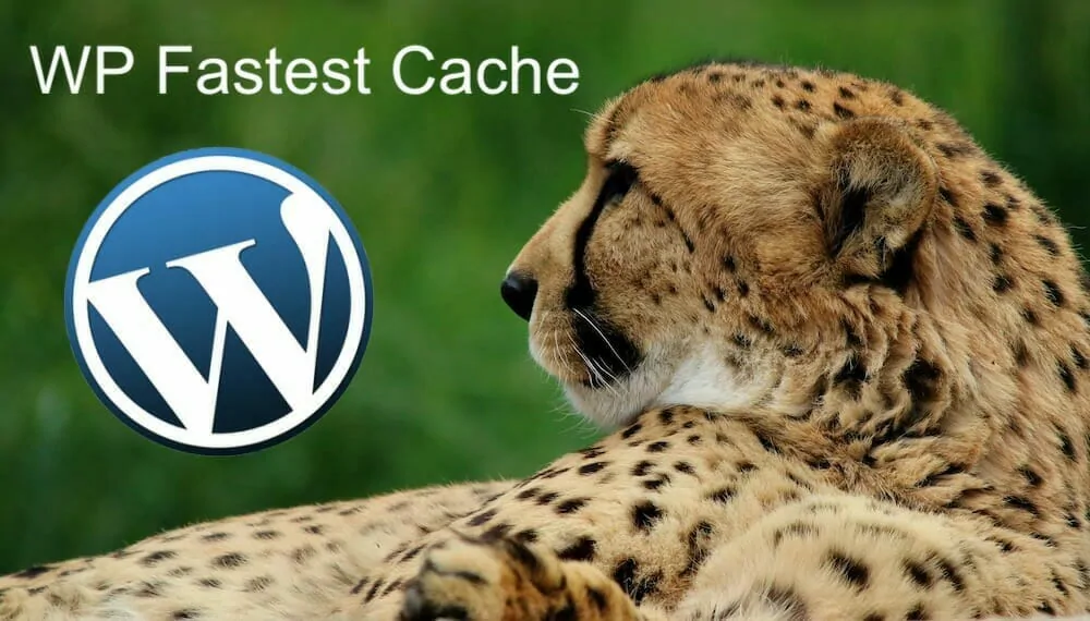 WordPress’in Olmazsa Olmazı Cache Sistemi