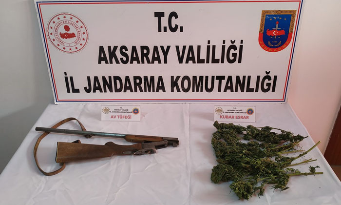 Aksaray’da jandarma odunlukta esrar ve tüfek ele geçirdi