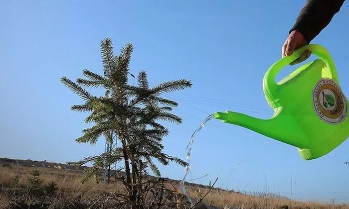 Aksaray, Türkiye’nin orman fakiri illeri arasında yer aldı