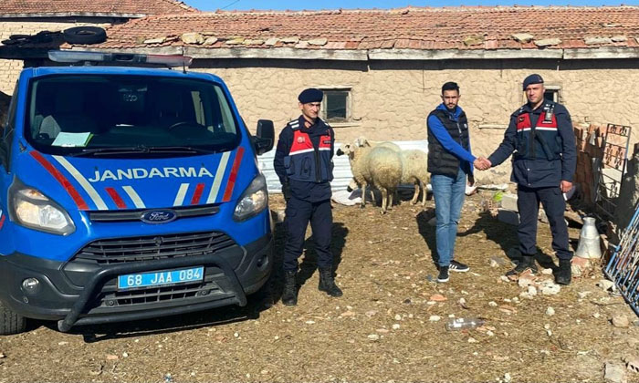 Aksaray’da kaybolan koyunlar dron yardımıyla bulundu