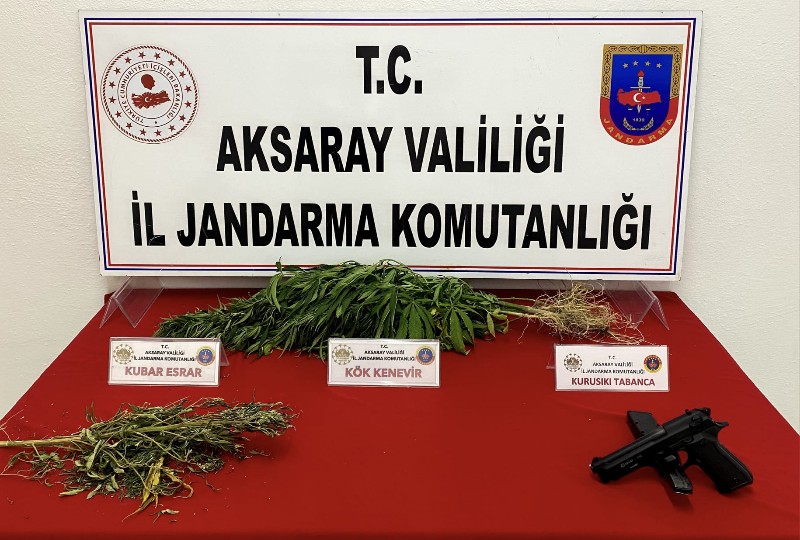 Aksaray’da Jandarmadan kenevir operasyonu