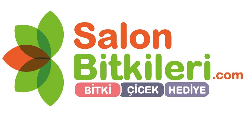 Salonbitkileri.com: Taze Çiçeklerin Adresi