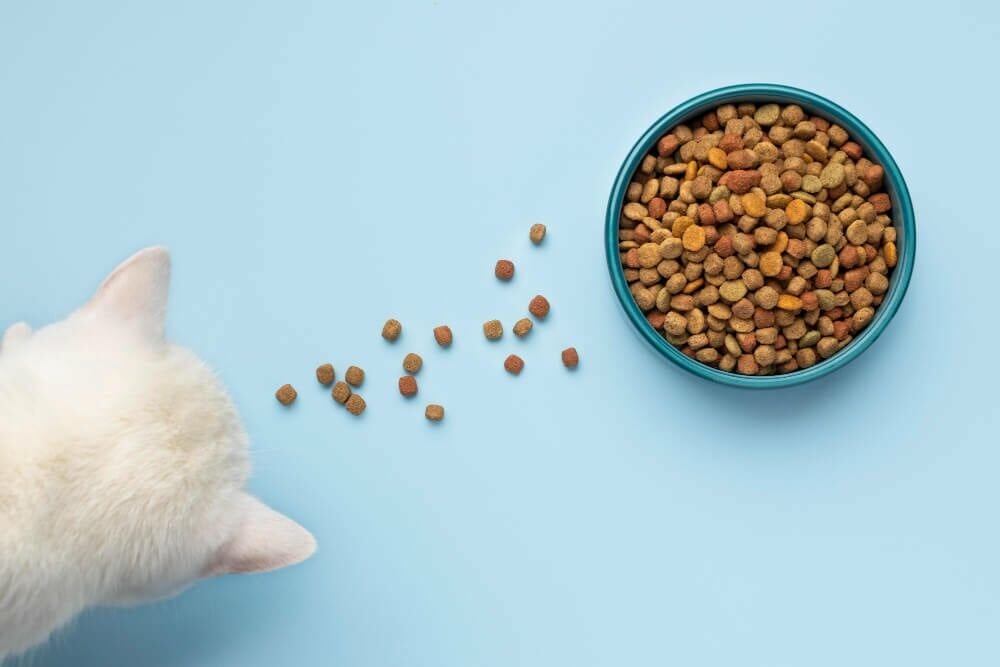 20 Litre Kedi Kum Kaç Kilo?