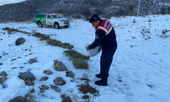Aksaray’da jandarma, yaban hayvanları için doğaya yem bıraktı