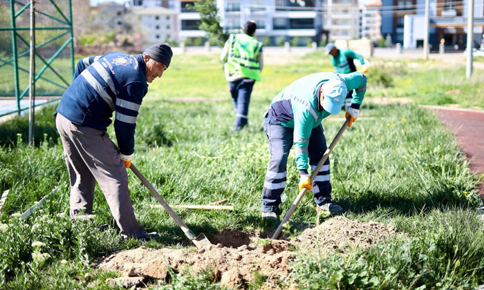Millet bahçeleri ve parklar yaza hazırlanıyor