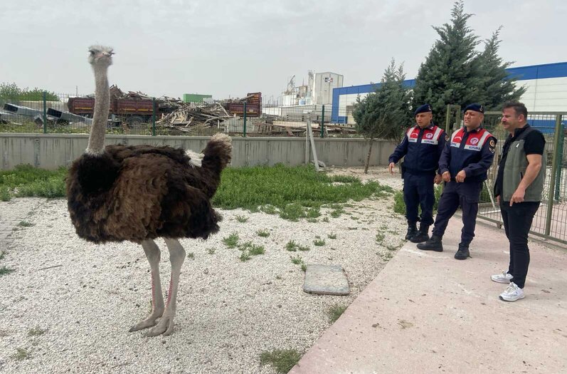 Aksaray’da yasa dışı hayvan ticareti yapan şahısa 30 bin lira ceza
