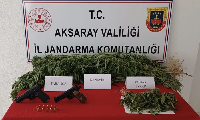 Aksaray’da jandarmadan yasadışı kenevir ekimine operasyon