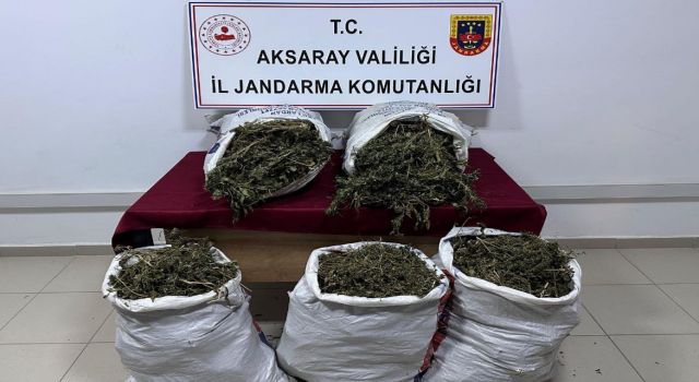 Aksaray’da 37,5 kilo kenevir ele geçirildi